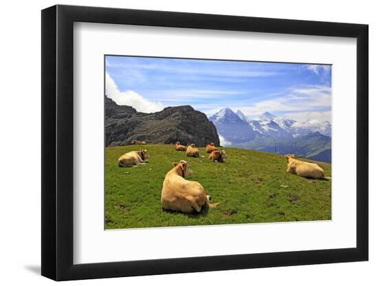 Photographic Print, , large