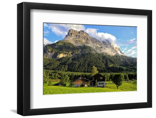Photographic Print, , large
