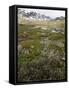 Canvas Black