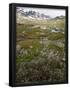 Essential Black
