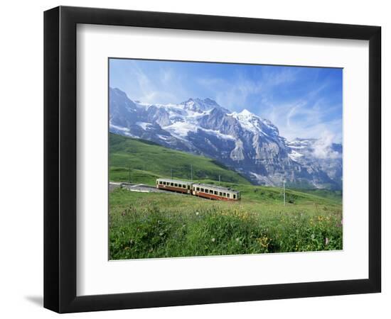 Premium Photographic Print, , large