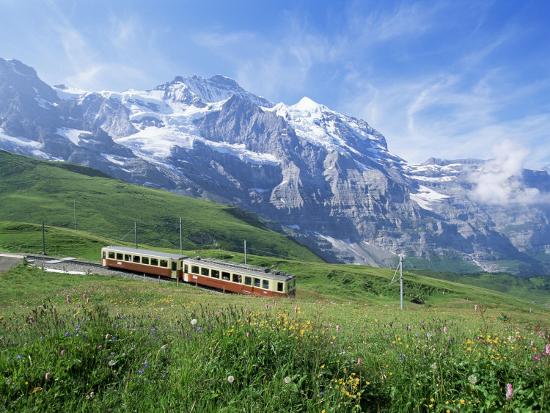 Photographic Print, , large