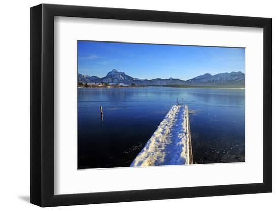 Premium Photographic Print, , large