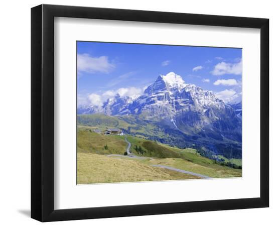 Premium Photographic Print, , large