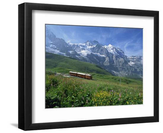 Premium Photographic Print, , large