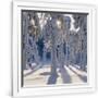 Gramercy White