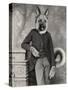 Hans The German Shepherd-J Hovenstine Studios-Stretched Canvas