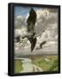 Essential Black