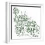 White Frame
