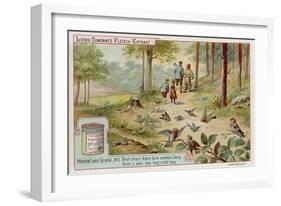 Hansel and Gretel: Birds Eating the Trail of Breadcrumbs Left by Hansel to Find the Way Home-null-Framed Giclee Print