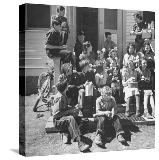 Stretched Canvas Print, , large