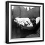 Black Frame