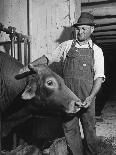Farm Worker Petting One of the Cows Living on a Dairy Farm-Hansel Mieth-Photographic Print