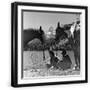 Black Frame