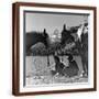 Brown Frame