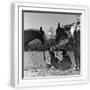 White Frame