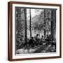 Brown Frame