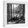 White Frame