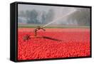 Canvas Black