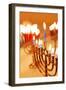 Hanukkah Candles-Carly Hennigan-Framed Photographic Print