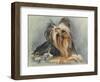 Hanukkah Honey-Barbara Keith-Framed Giclee Print