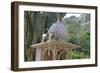 Hanuman Langur Monkeys- X3, on Temple-null-Framed Photographic Print