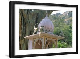 Hanuman Langur Monkeys- X3, on Temple-null-Framed Photographic Print