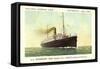 Hapag, D.D. Noordam, Dampfschiff in Fahrt-null-Framed Stretched Canvas