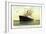 Hapag, D.D. Statendam, Dampfschiff Am Hafen-null-Framed Giclee Print