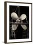 Hapag, Dampfer Deutschland, Antriebsschraube, Werft-null-Framed Giclee Print