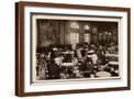 Brown Frame