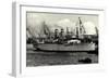 Hapag, Dampfschiff Oceana Am Hafen, Schlepper-null-Framed Giclee Print