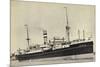 Hapag, Dampfschiff S.S. Leerdam Nah Am Hafen-null-Mounted Giclee Print