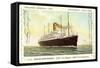 Hapag, Dampfschiff T.S.S. Nieuw Amsterdam in Fahrt-null-Framed Stretched Canvas