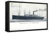 Hapag, P.D. President Grant, Dampfschiff, Rauch-null-Framed Stretched Canvas