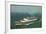 Hapag, S.S. Maasdam, Dampfschiff Auf See, Nebel-null-Framed Giclee Print