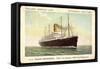 Hapag, T.S.S. Nieuw Amsterdam, Dampfschiff-null-Framed Stretched Canvas