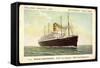 Hapag, T.S.S. Nieuw Amsterdam, Dampfschiff-null-Framed Stretched Canvas