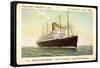 Hapag, T.S.S. Nieuw Amsterdam, Dampfschiff-null-Framed Stretched Canvas