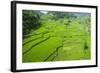 Hapao Rice Terraces, Banaue, UNESCO World Heritage Site, Luzon, Philippines, Southeast Asia, Asia-Michael Runkel-Framed Photographic Print