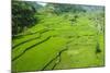 Hapao Rice Terraces, Banaue, UNESCO World Heritage Site, Luzon, Philippines, Southeast Asia, Asia-Michael Runkel-Mounted Photographic Print