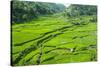 Hapao Rice Terraces, Banaue, UNESCO World Heritage Site, Luzon, Philippines, Southeast Asia, Asia-Michael Runkel-Stretched Canvas