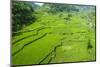 Hapao Rice Terraces, Banaue, UNESCO World Heritage Site, Luzon, Philippines, Southeast Asia, Asia-Michael Runkel-Mounted Photographic Print