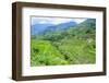 Hapao Rice Terraces, Banaue, UNESCO World Heritage Site, Luzon, Philippines, Southeast Asia, Asia-Michael Runkel-Framed Photographic Print