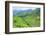 Hapao Rice Terraces, Banaue, UNESCO World Heritage Site, Luzon, Philippines, Southeast Asia, Asia-Michael Runkel-Framed Photographic Print