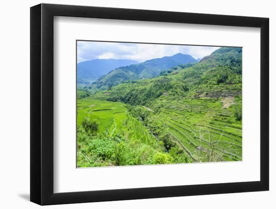 Hapao Rice Terraces, Banaue, UNESCO World Heritage Site, Luzon, Philippines, Southeast Asia, Asia-Michael Runkel-Framed Photographic Print