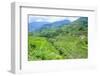 Hapao Rice Terraces, Banaue, UNESCO World Heritage Site, Luzon, Philippines, Southeast Asia, Asia-Michael Runkel-Framed Photographic Print