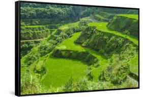 Hapao Rice Terraces, Part of the World Heritage Site Banaue, Luzon, Philippines-Michael Runkel-Framed Stretched Canvas