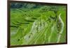 Hapao Rice Terraces, Part of the World Heritage Site Banaue, Luzon, Philippines-Michael Runkel-Framed Photographic Print