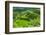 Hapao Rice Terraces, Part of the World Heritage Site Banaue, Luzon, Philippines-Michael Runkel-Framed Photographic Print